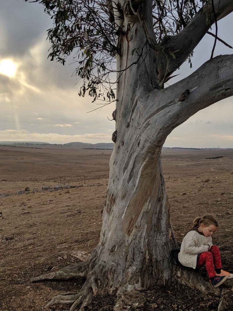 Mapping a Story with Girl by the Tree