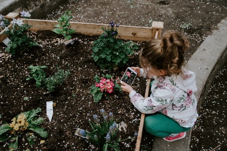 child using a phone to take photos of the flowers she is learning about