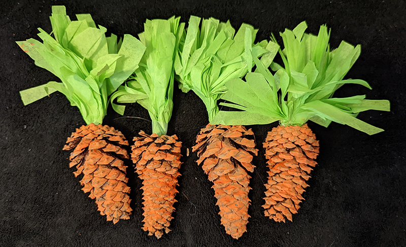 pinecone carrots